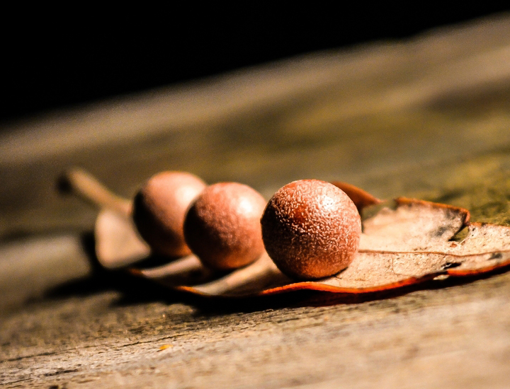 绿色无残留的短信压力测试在线网页版